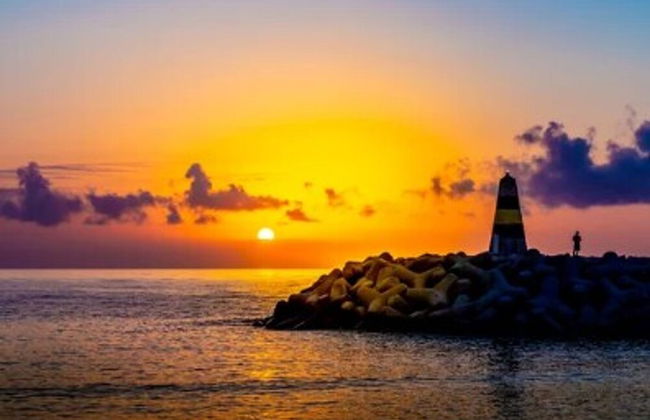 Happy Travel South Beach 1-1b - Photo 28