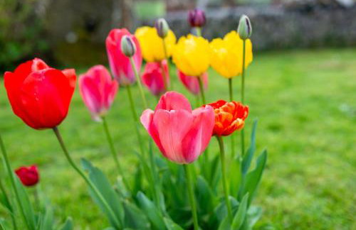 Ferienwohnung Fasse - Foto 24