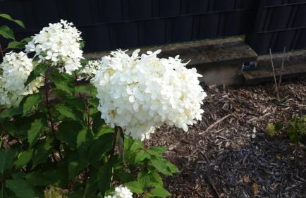 Le Gîte du Fort - Foto 6