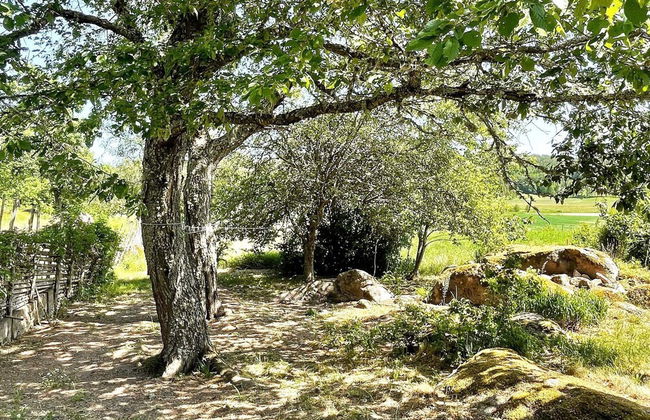 5 Person Holiday Home in Horn-by Traum - Foto 4