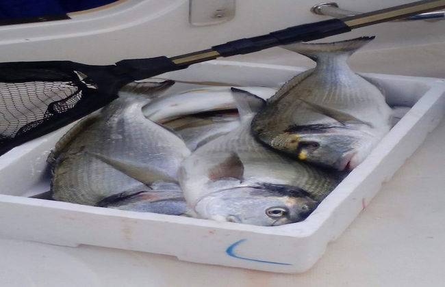 Apartments Nina & Kate - Foto 32