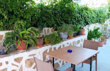 Apalonia Studio - Foto 7