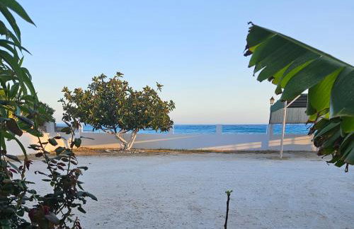 Poppis Home - Foto 3