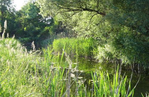 Ferienanlage Waschbär Country - Photo 32