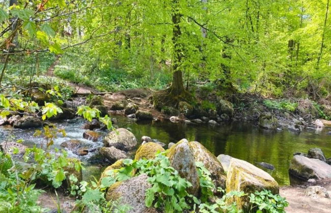 Luxurioser Wellnessaufenthalt in Elend - Foto 33