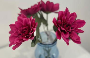 STILL HOUSE - Foto 55