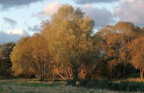Pałac Paprotno - Foto 61