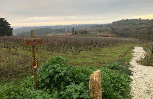 Ciglieri SantErmo Casciana Terme Lari PET&BIKE friendly FREE PARK - Foto 74