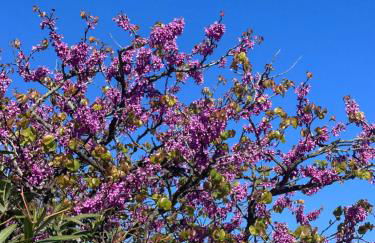 Studio Mer et Soleil avec Terrasse, en centre-ville, parking - Photo 31