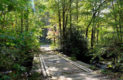 The Junction - Foto 30