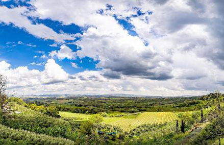 Agriturismo Cesani - Foto 76