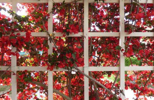 AGIOS LEON Apartment 3 - Foto 12