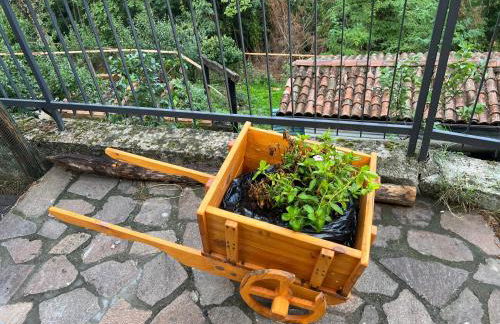 Villa Allegra Apartments in The Nature - Foto 8