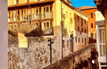 El Capricho de Claudia_ Apartamentos Burgos Catedral - Photo 10