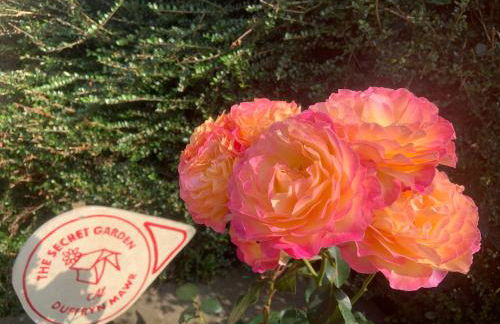 The Hideaway at Duffryn Mawr Self Catering Cottages - Photo 6