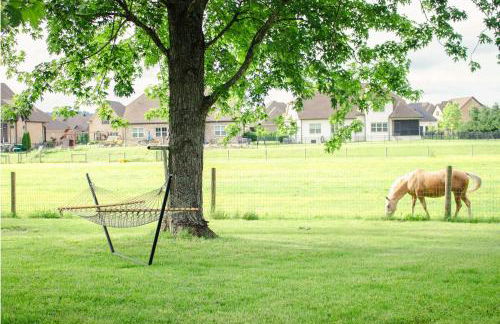 Hidden Gem Farm Homestead Sleeps 12 &Fresh Produce - Photo 14