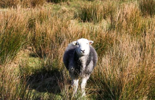 5 Waterside Wood - Foto 46