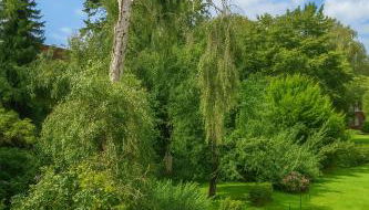 2 bedroom apartment in HH center - Foto 5