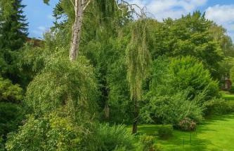 2 bedroom apartment in HH center - Foto 5