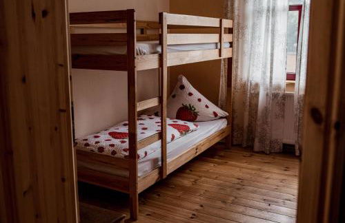 Südhof Döbbrick - Ferienhof für Familienurlaub - Foto 7