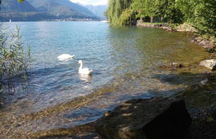 Aurora Suite apartment - Photo 41