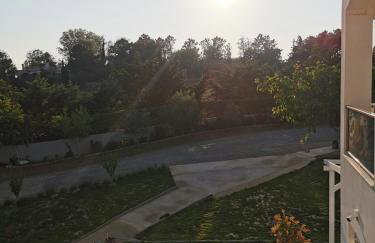 Platan Paradise - Foto 28