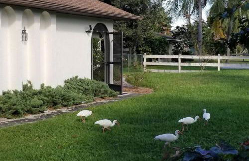 Bonita Oasis - Foto 15