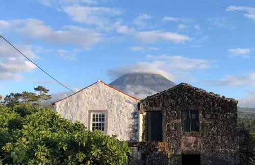 Casa 3 Picos 1 - Photo 25