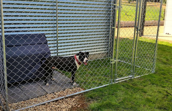 3 Bells Alpine Cottage - Foto 14