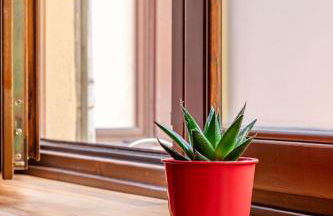 Ex laboratorio al Cit - Foto 15