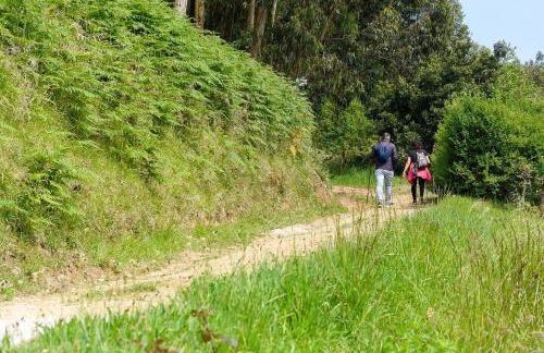 Casa Surfera, sublime -Arquitectura Sostenible - Foto 19