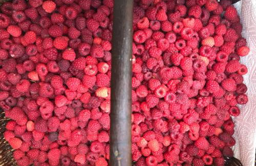 Le chant de la rivière en Berry - Foto 27