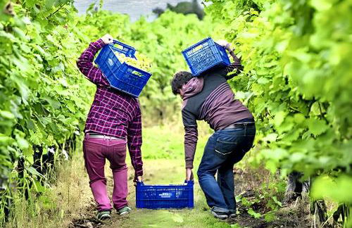 Warm House in Baños de Valdearados, Farm Close to Town - Foto 15