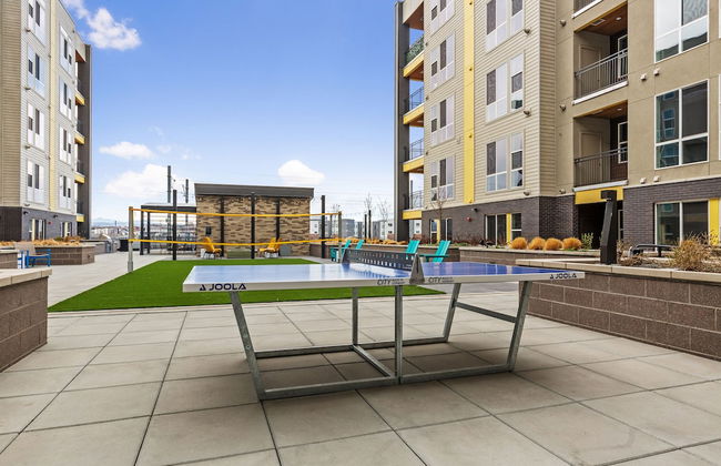 Kasa Rino Denver - Foto 64