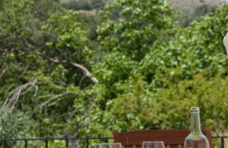 Molino La Ratonera - Foto 13