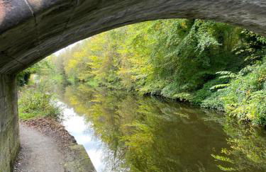 Peaceful Shepherd’s Hut in beautiful countryside. - Foto 20