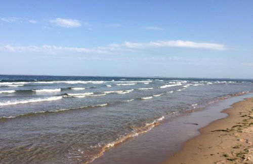 Clashmore Wood - Foto 40