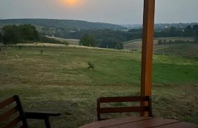 W Kręgu Natury - Foto 61