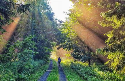 Habelberg Apartments - Foto 30