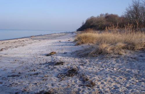 Rotes Haus - Foto 19