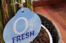 Ca Na Martina - Foto 11