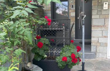 HOME OF OLYMPOS STUDIO - Foto 5