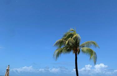 Cumbuco Dream - Foto 51