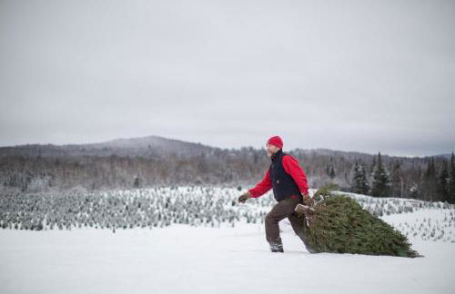 Experience the Rocks Estate like never before with a stay at the Gardeners Cottage! - Foto 40