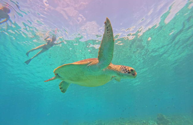 Snorkelling in Gili Meno - Foto 5