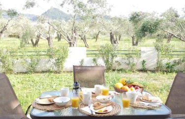 Corfu Olivia Apartments - Foto 23