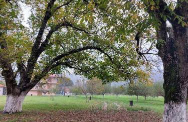 Ktima Karadimou - Photo 5