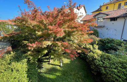 Il Giardino Segreto - Foto 34