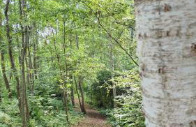 Biały Domek Nielbark - Agroturystyka - Foto 47