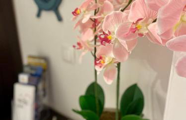 Apartman Dani - Sutivan - Photo 14